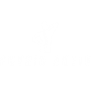 Alex Nennstiel - Logo